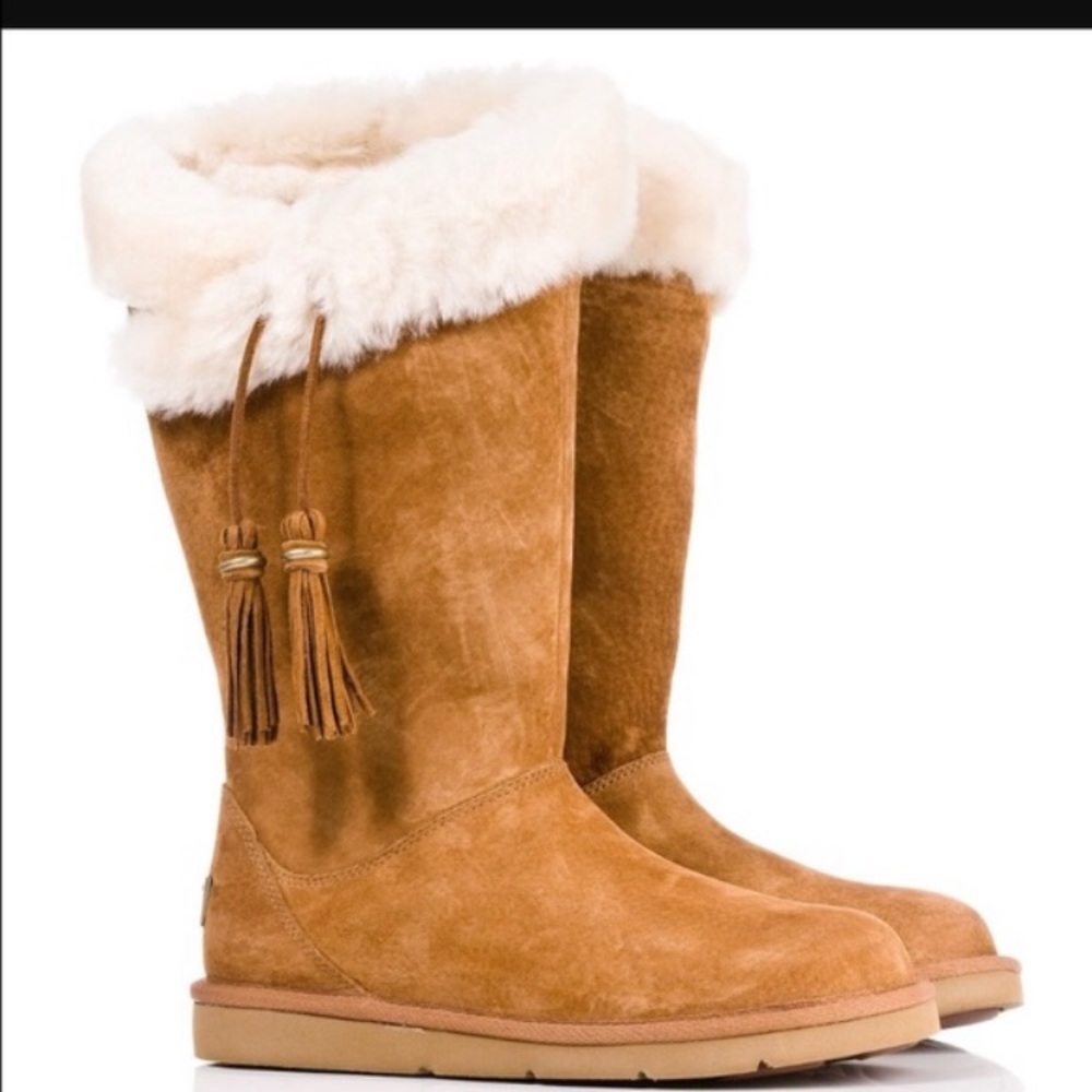 Plumdale Ugg boots. Virtually no wear!